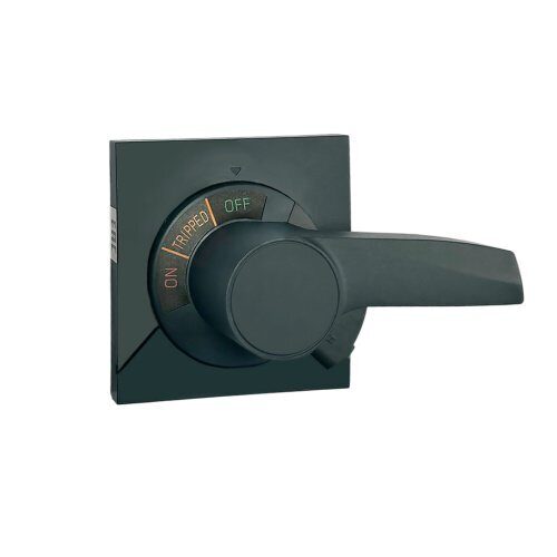 Рукоятка поворотная TENGEN TEM7E-AH-125/250, IP40, для TEM7(E)-125_250 (TEN215355)